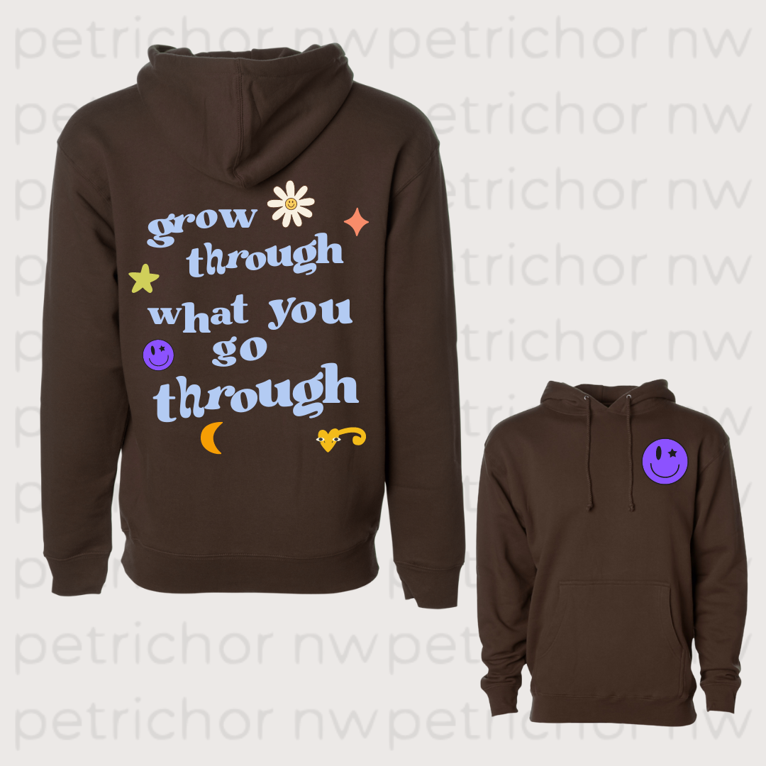 Grow Through what you Go Through Hoodie (colorful)